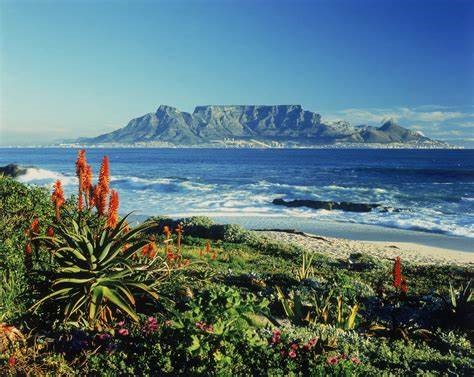Cape Town